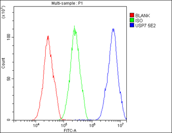 HAUSP/USP7 Antibody (monoclonal, 5E2)