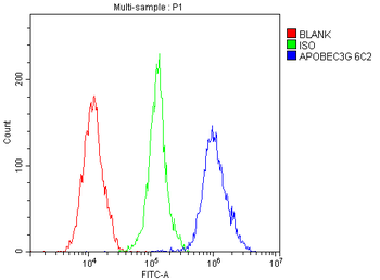 APOBEC3G Antibody (monoclonal, 6C2)