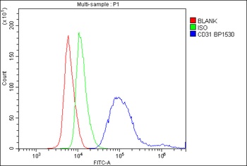 Anti-CD31/Pecam1 Antibody Picoband