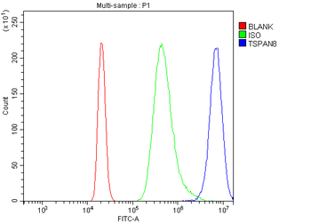 Tspan-8/Tspan8 Antibody