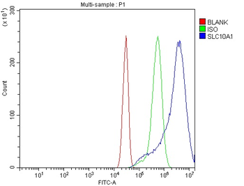 SLC10A1/NTCP1 Antibody