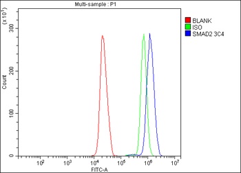 SMAD2 Antibody (monoclonal, 3C4)