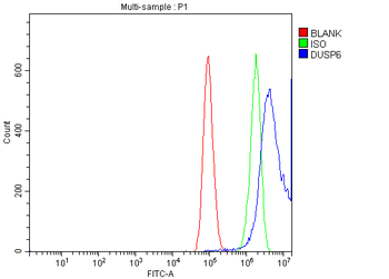 DUSP6 Antibody