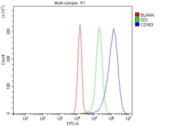 Anti-CD163 Antibody Picoband