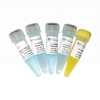 ChamQ SYBR Color qPCR Master Mix (High ROX Premixed) | Biorbyt