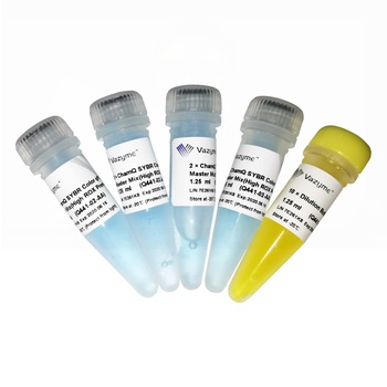 ChamQ SYBR Color qPCR Master Mix (High ROX Premixed) | Biorbyt