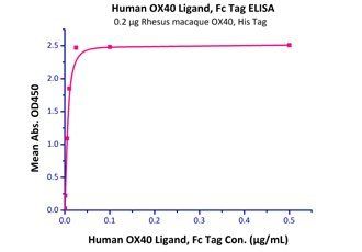 Cynomolgus / Rhesus macaque OX40 / TNFRSF4 / CD134 Protein
