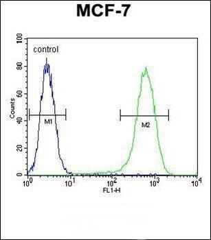 NUDT8 antibody