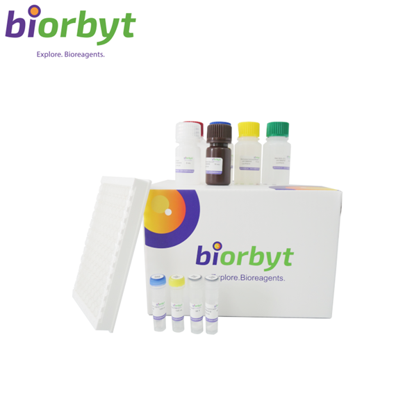 Other THB ELISA Kit (Ready to Use)